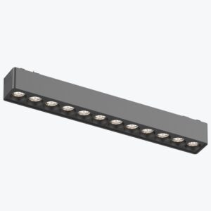Spot Track Panlight